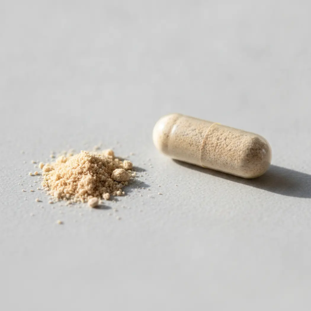 Ritual Synbiotic+ delayed-release capsule showing the probiotic, prebiotic and postbiotic powder inside